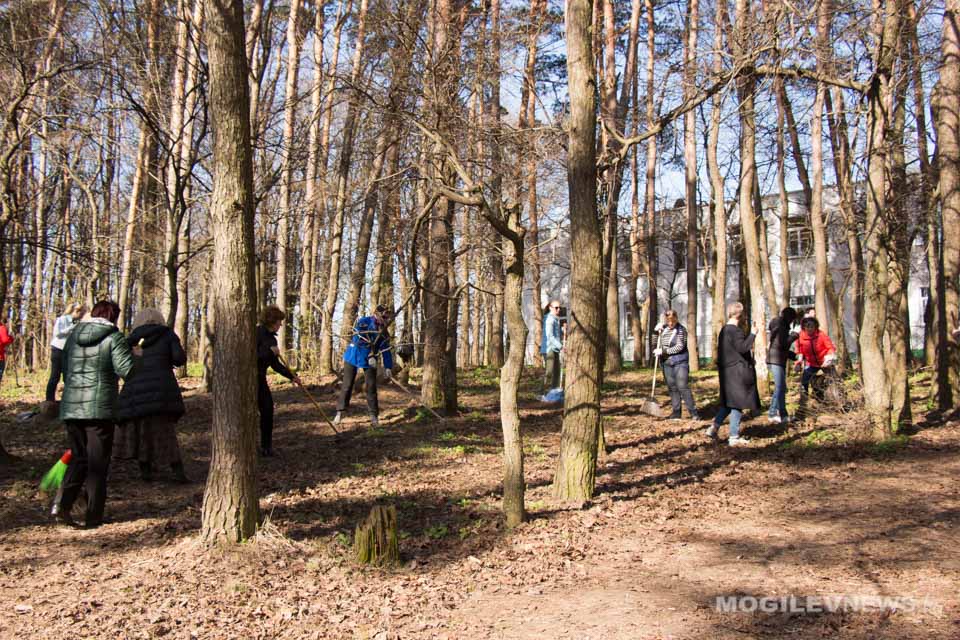 Республиканский субботник прошел в Могилеве. Фото