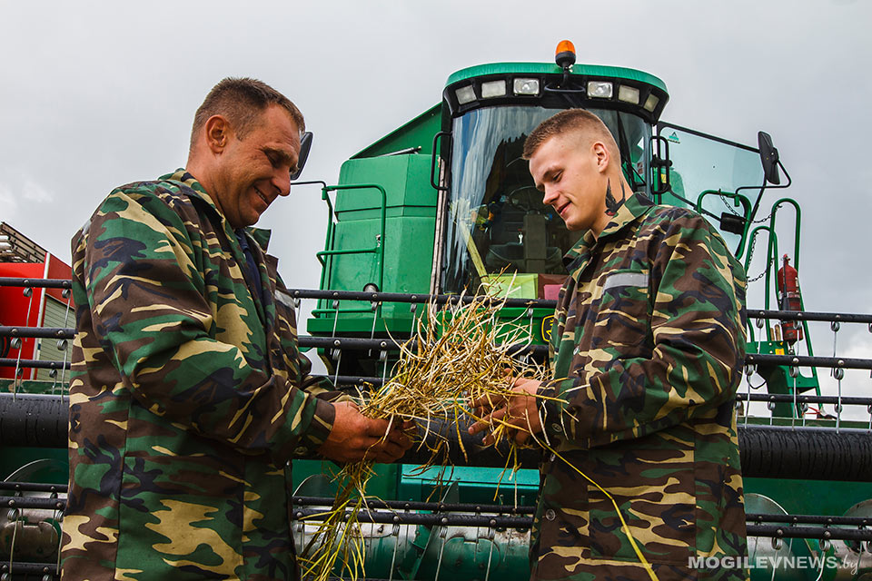 К уборке рапса приступили в Агрокомбинате «Заря». Фото