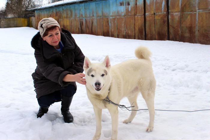 Милиционеры в Могилеве помогли вернуть хозяевам собаку, которая потерялась