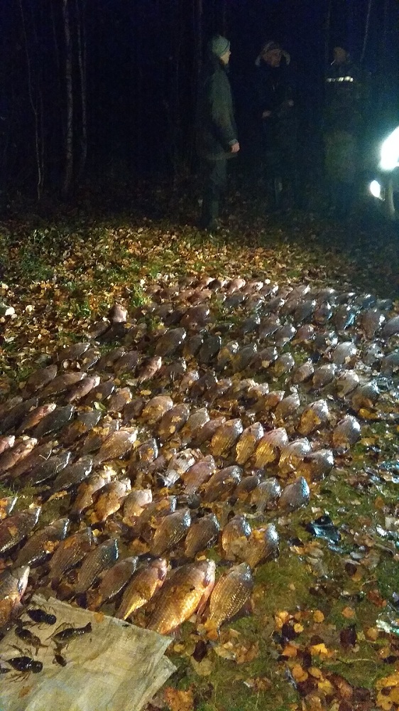 Почти 200 кг рыбы изъяли у троих браконьеров в Краснопольском районе