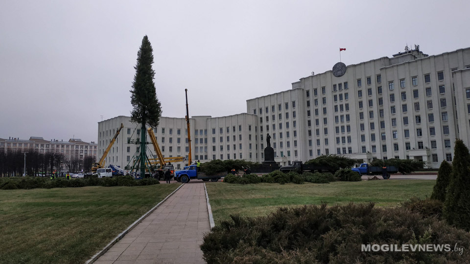 В Могилеве устанавливают главную новогоднюю елку области