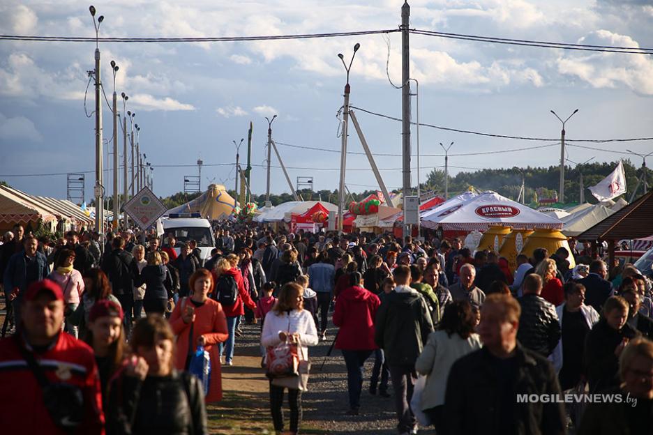 Более 65 тысяч человек посетили праздник «Александрия собирает друзей»