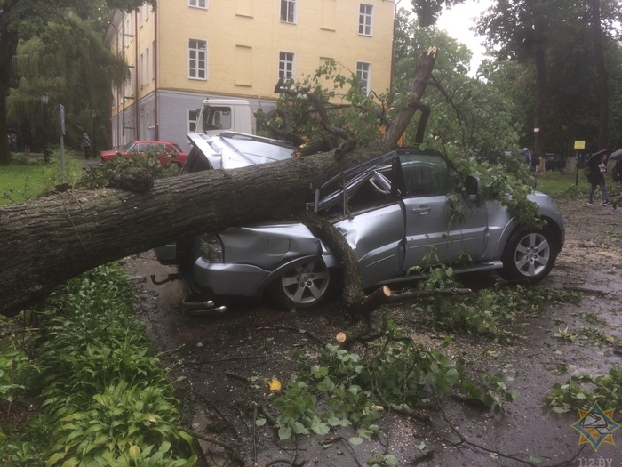 Из-за сильного ветра на Могилевщине сломаны деревья, повреждены крыша больницы и автомобиль