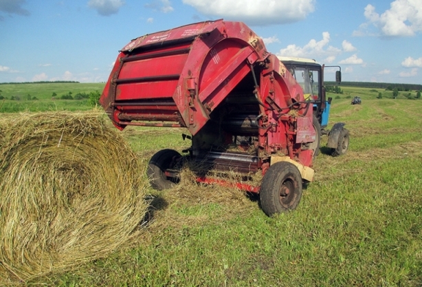 КГК Могилевской области продолжает следить за животноводством и полевыми работами