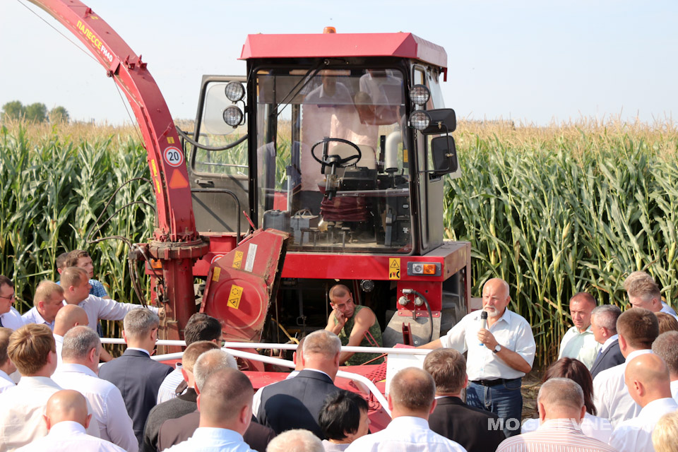 Семинар по уборке кукурузы прошел в Могилевской области. Фото