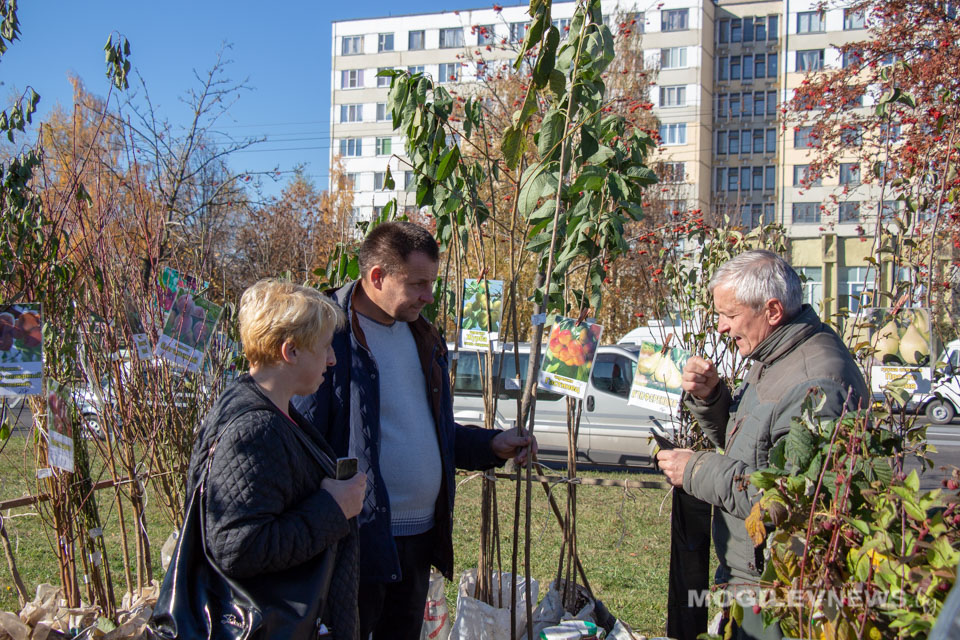 Осенние сельхозярмарки в Могилеве продолжатся до середины ноября