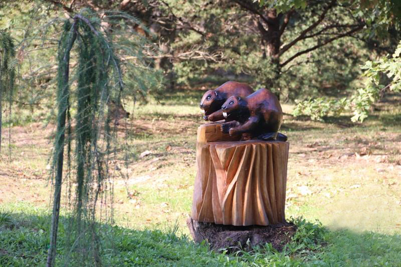 Строительство экологической тропы началось в  Костюковичском лесхозе