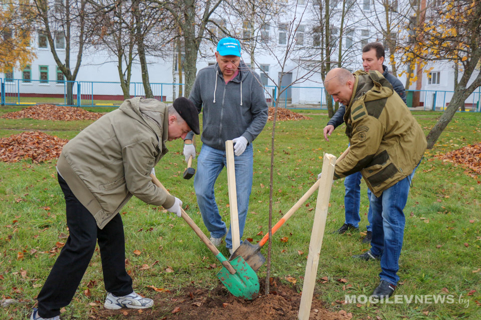 Саженцы рябины и ясеня посадили возле залива в районе улицы Фатина. Фото