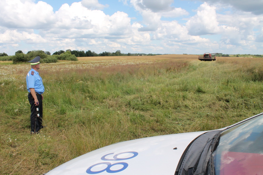Сотрудники ГАИ проверяют технику в поле