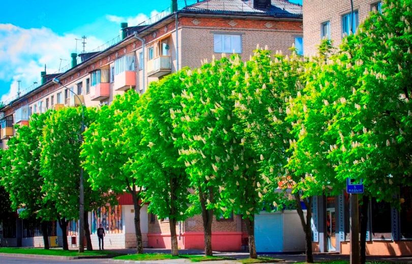 Погода на неделю: дожди и похолодание к выходным