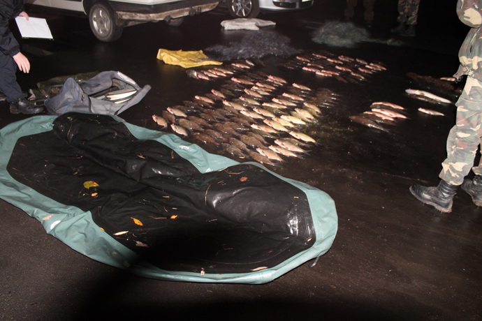 Браконьеров задержали в Славгородском районе