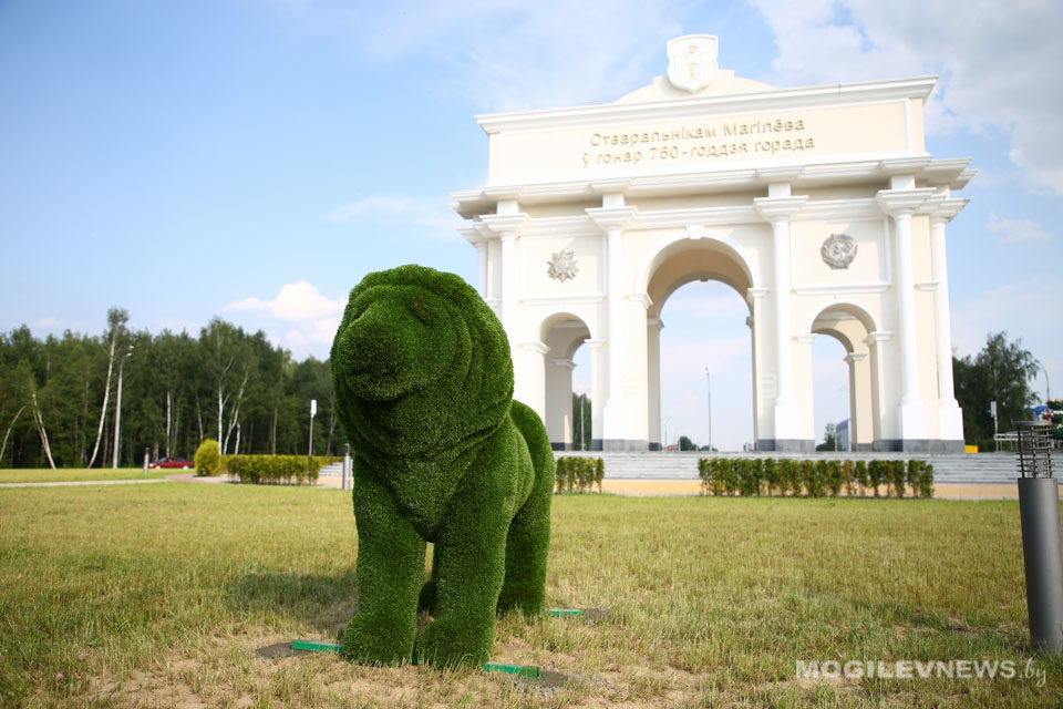 Новая скульптура льва появилась в Могилеве. Фото