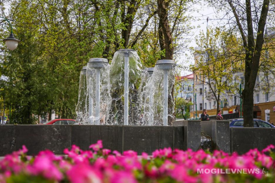 Теплее климатической нормы ожидается май в Могилевской области