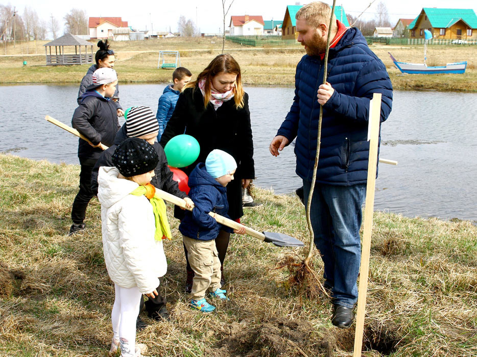 В Климовичах появилась Аллея семейных деревьев. Фото