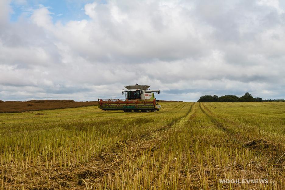 Милиция проводит мониторинг уборочной кампании