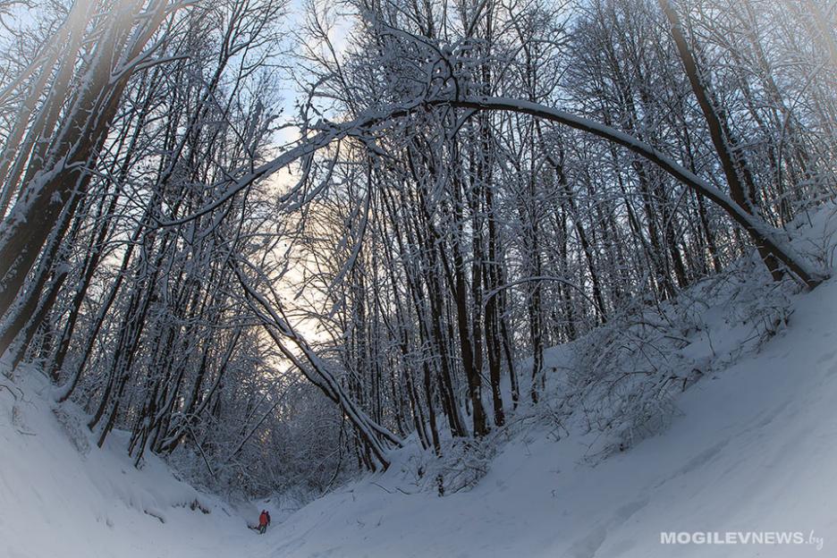 Снег и сильный ветер ожидаются в Беларуси 26 декабря