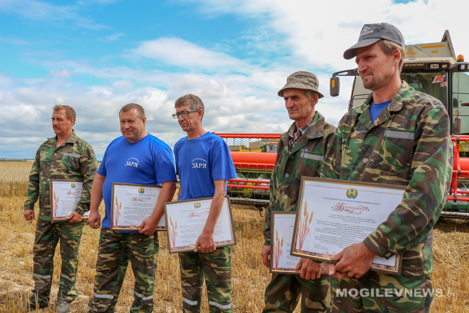 Комбайнеры и водители «Зари» стали первыми двухтысячниками в Могилевской области. Фото