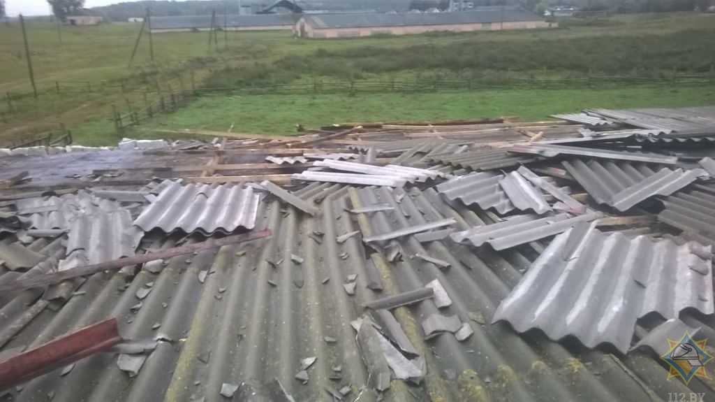 13 случаев падения деревьев из-за непогоды зафиксировано в Могилевской области