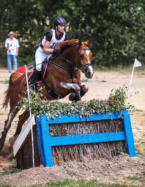 Могилевская всадница завоевала «бронзу» на международном турнире по конному троеборью