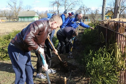 Свыше 100 елей высадили на территории Несятского сельсовета в Кличевском районе
