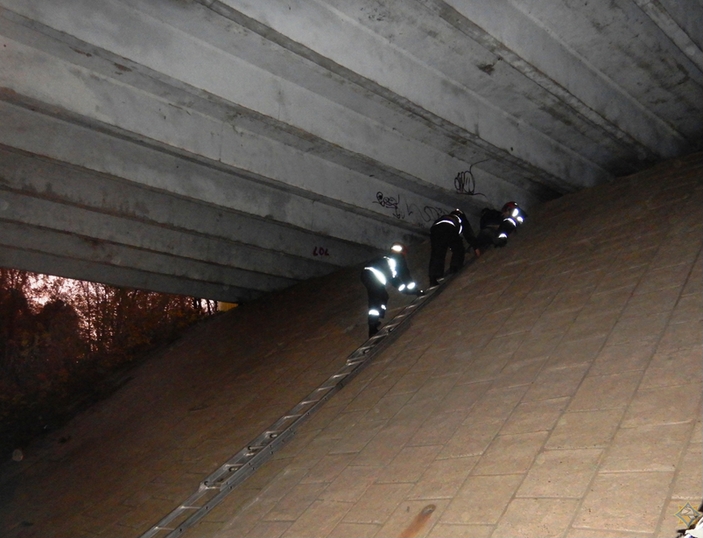 Спасатели в Могилеве помогли школьнику, который залез под мост и не мог сам спуститься