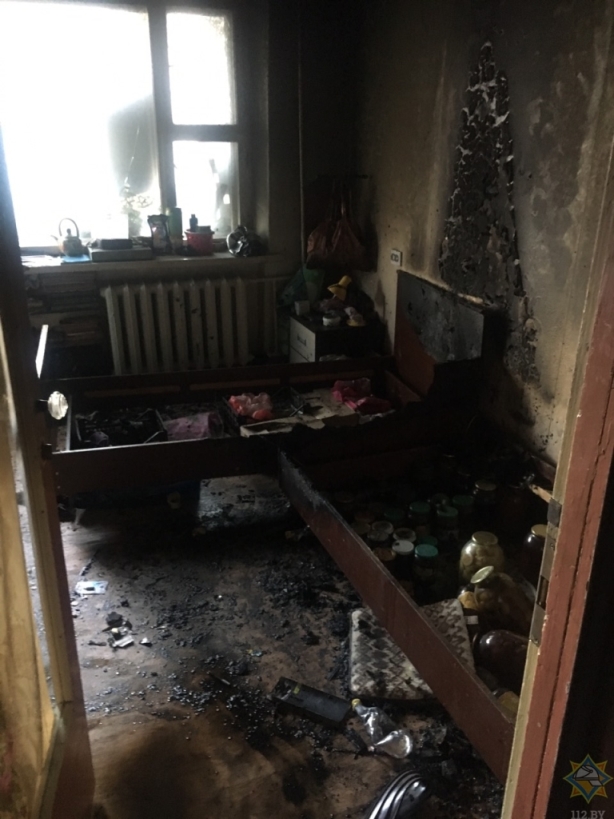 24 раза выезжали спасатели на ликвидацию гнезд жалоносных насекомых за минувшие сутки