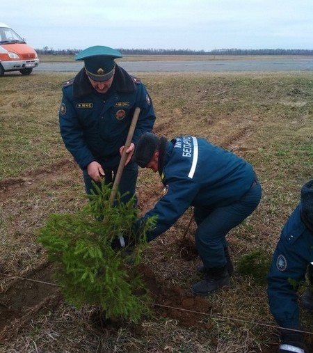 В честь грядущего юбилея пожарной службы Беларуси кличевские спасатели посадили 165 елей