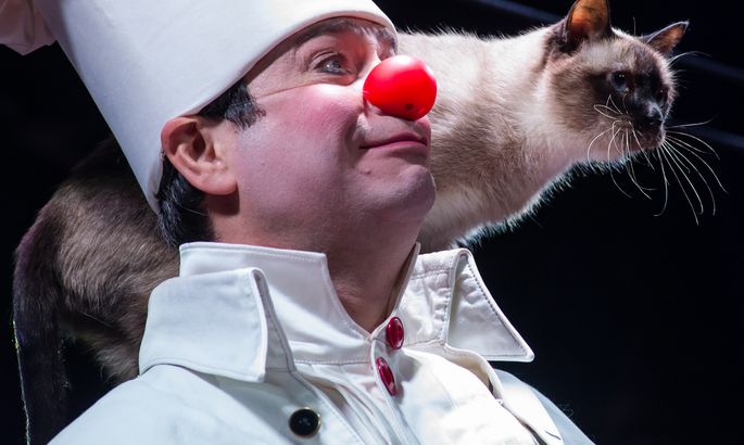 Театр кошек Куклачева представит в Бобруйске программу «Клоун и кошки!»
