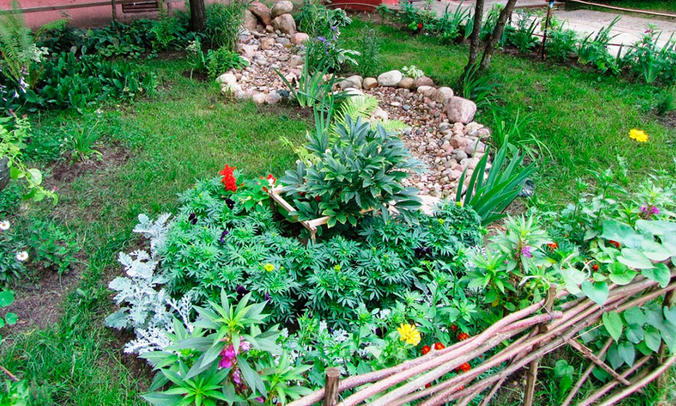 Возле областной больницы в Могилеве создадут зону отдыха