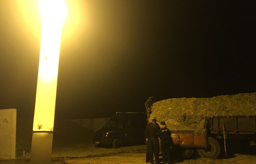 На кукурузном поле в Быховском районе смертельно травмирован пенсионер