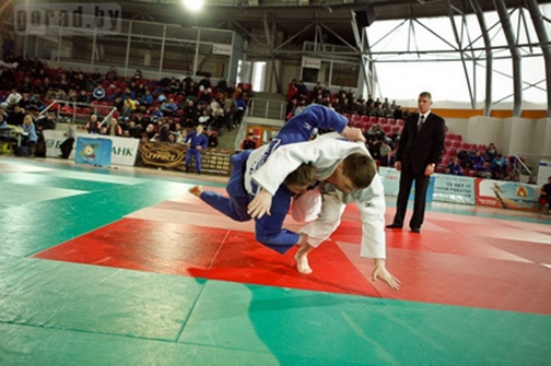 Сборная Могилевской области заняла второе место на командном чемпионате Беларуси по дзюдо