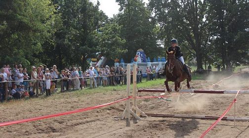 Спортивный праздник «Конная фиеста-2019» пройдет в Бобруйском районе