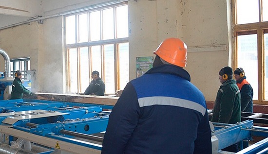 Новый цех по деревообработке планируется создать в Краснопольском лесхозе