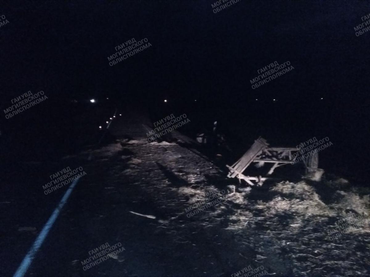 «ГАЗ» в Быховском районе столкнулся с гужевой повозкой, возчик погиб