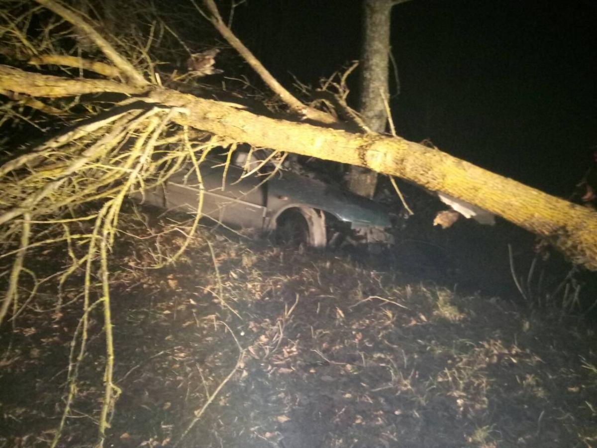 Могилевчанин на «Ситроене» врезался в дерево в Чериковском районе