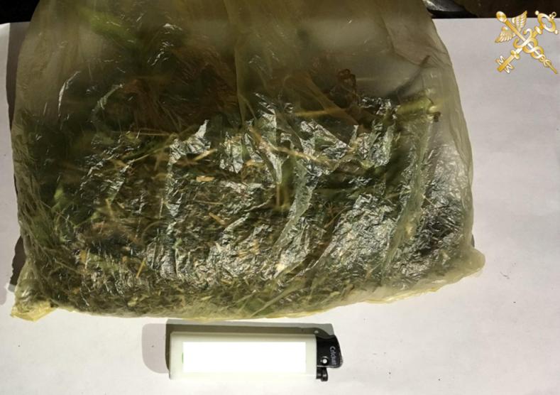 Незаконный оборот наркотических средств и психотропных веществ пресекли могилевские таможенники