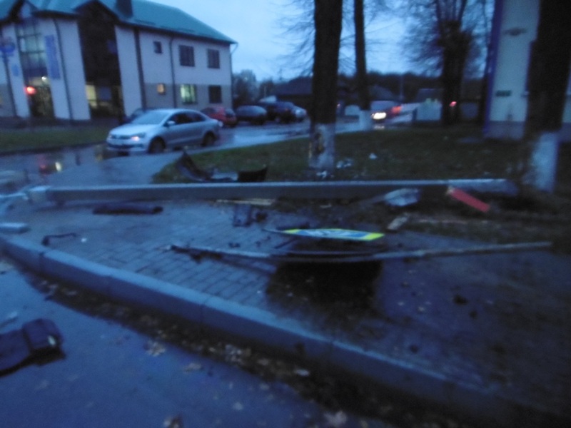 Водитель в Горках при обгоне въехал в дерево и опору ЛЭП