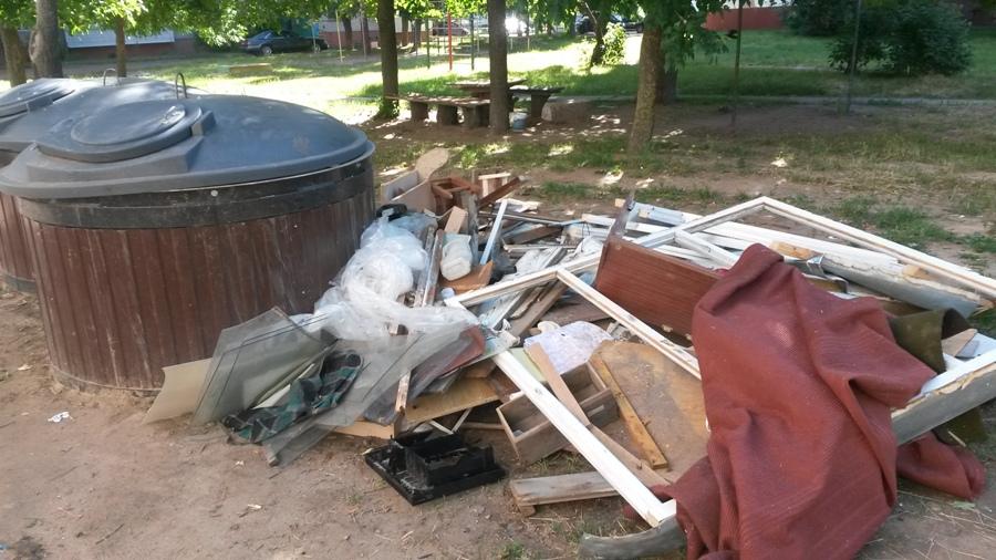 Фотоловушки закупят в ЖЭУ Могилева