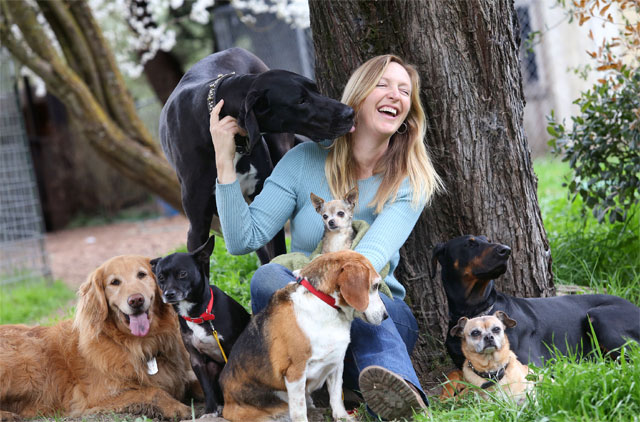 Благотворительную акцию проведет общество защиты животных 16 июня в Могилеве