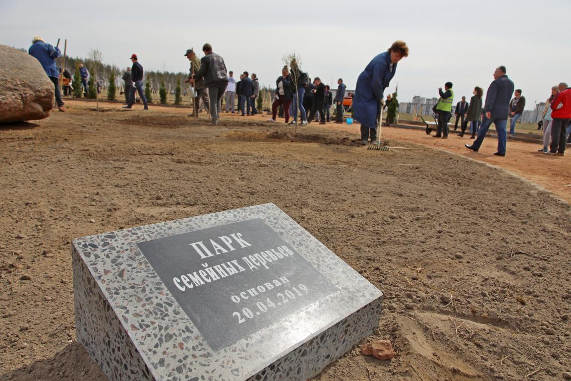 Парк семейных деревьев заложили в Бобруйске