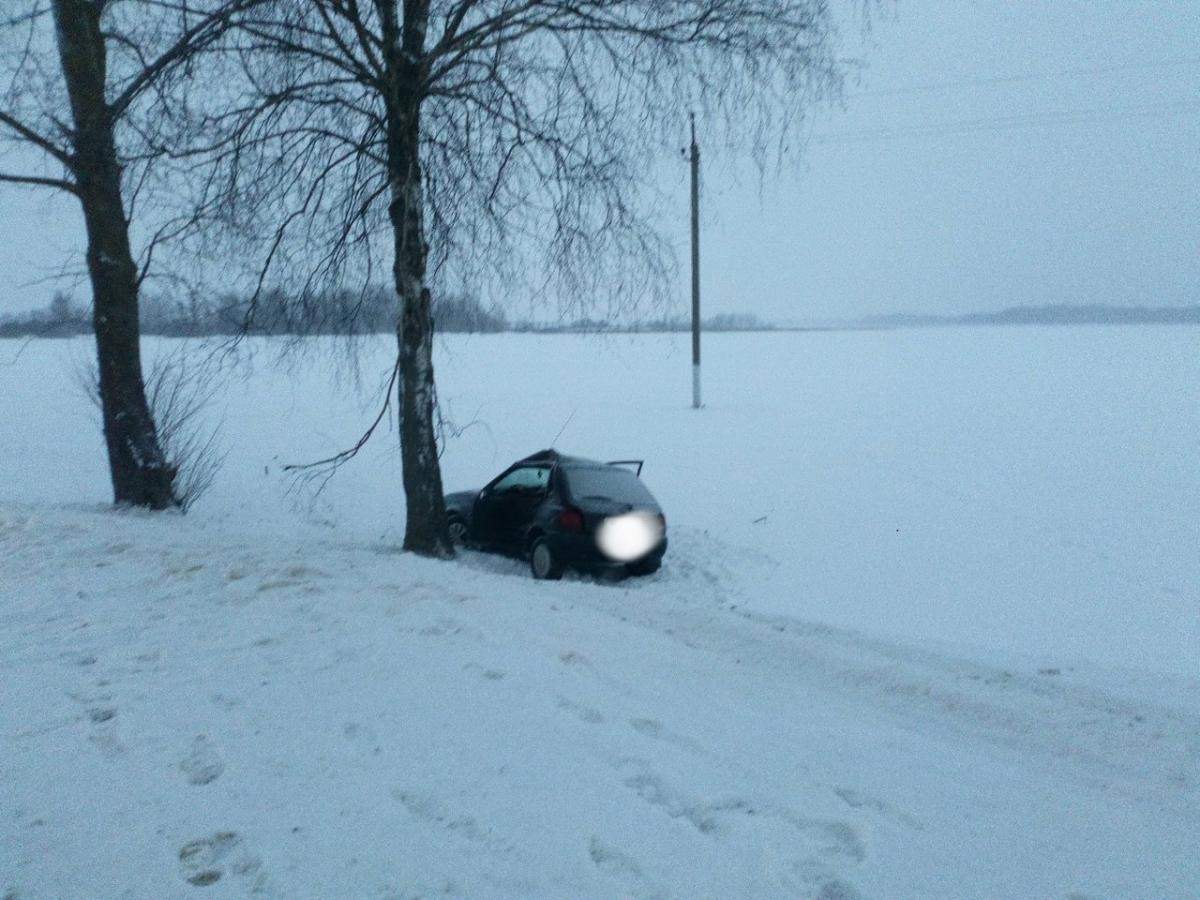 «Форд» в Белыничском районе съехал в кювет и врезался в дерево
