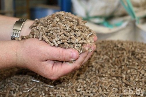 Завод по производству биотопливных гранул будет построен к концу года в Кличевском лесхозе