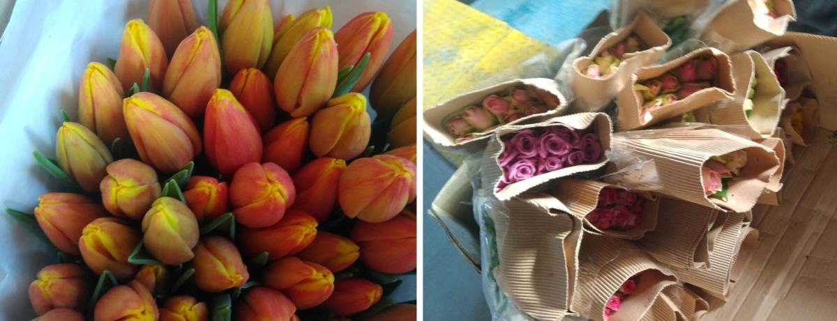 Могилевскими таможенниками пресечена попытка незаконного перемещение 2,4 тысячи свежих цветов