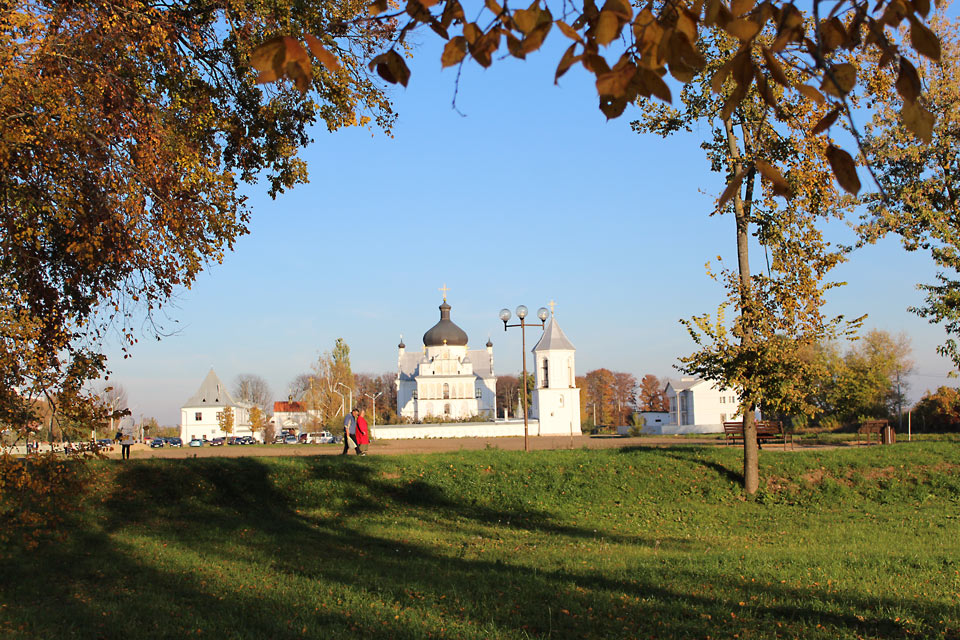 Создать ботанический сад планируют на территории парка Подниколье в Могилеве