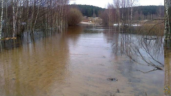 Участки автодорог и мост подтоплены в трех районах Могилевской области