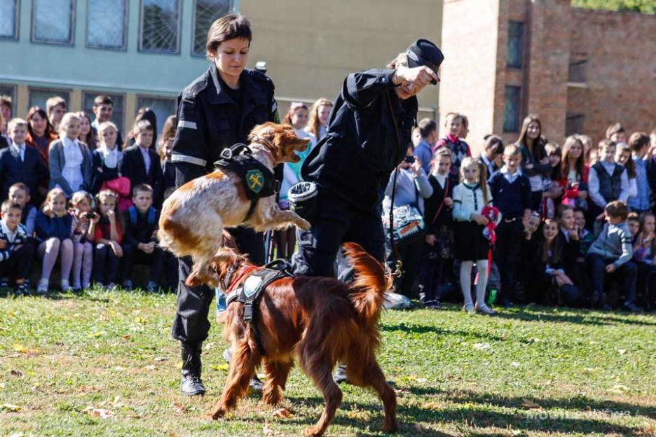 Праздник двора пройдет в трех микрорайонах Могилева