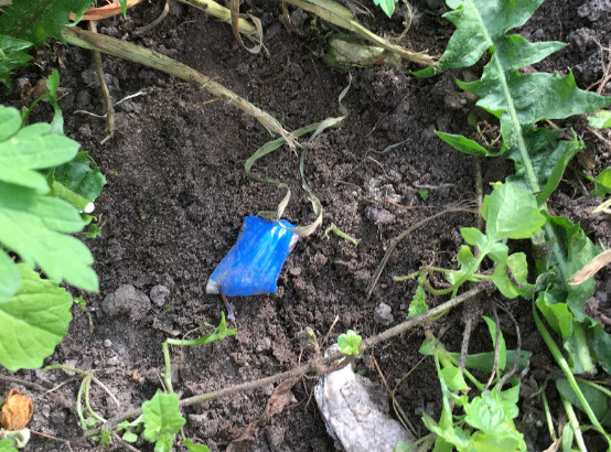 Закладчика мефедрона задержали в Бобруйске