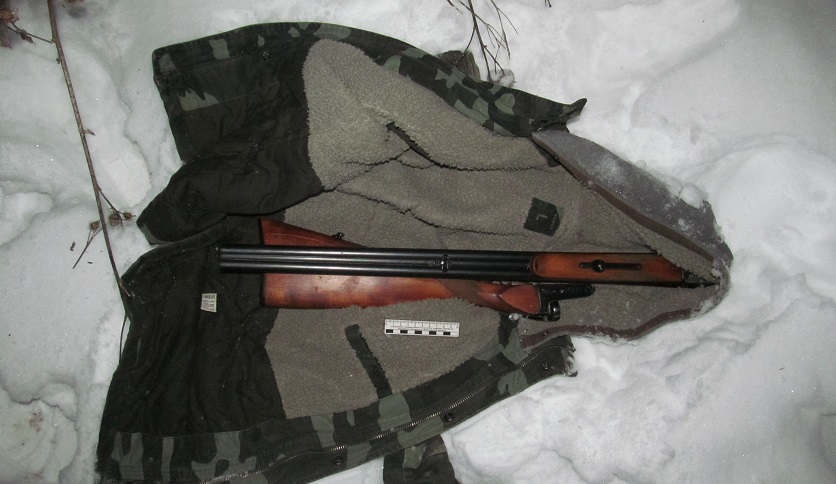 Двое мужчин в Дрибинском районе подозреваются в незаконной охоте