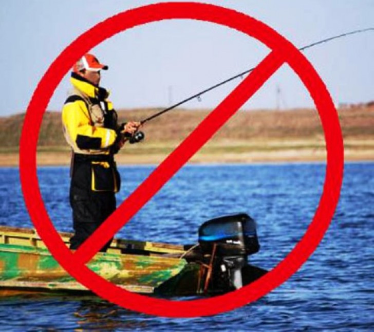 Запрет на лов всех видов рыбы вводится с 1 апреля в Могилевской области