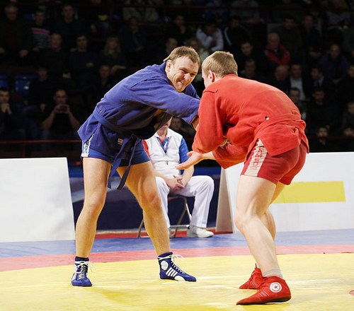 Золотую, серебряную и бронзовую медали выиграли представители  Могилевщины на открытом чемпионате Беларуси по самбо